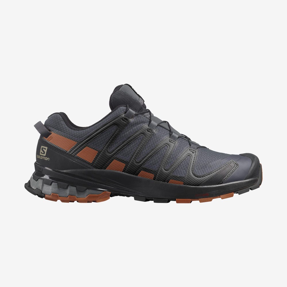 Men\'s Salomon XA PRO 3D v8 GORE-TEX Hiking Shoes Grey/Black | IXRC-47389