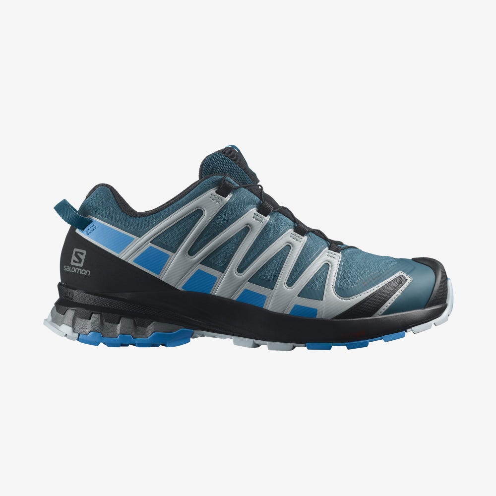 Men\'s Salomon XA PRO 3D v8 GORE-TEX Trail Running Shoes Blue | PWTQ-18209