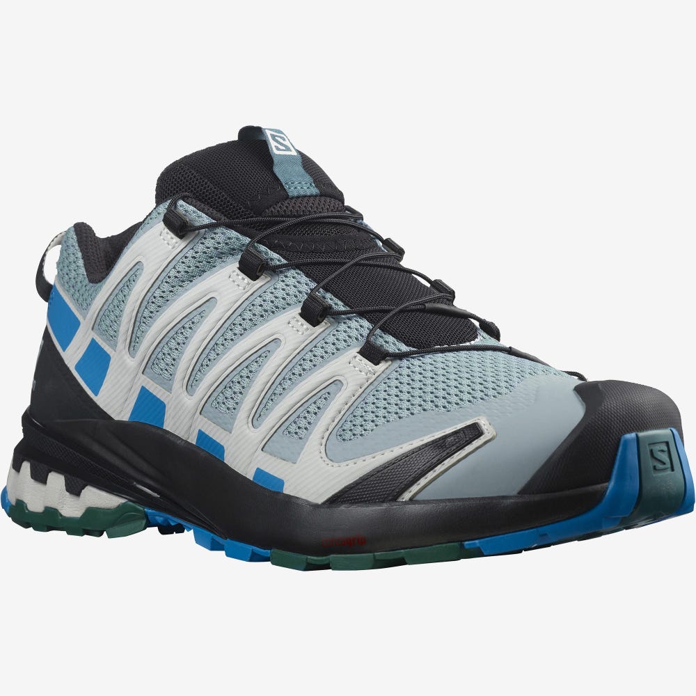 Men's Salomon XA PRO 3D v8 Trail Running Shoes Green/Blue | QSPF-48903