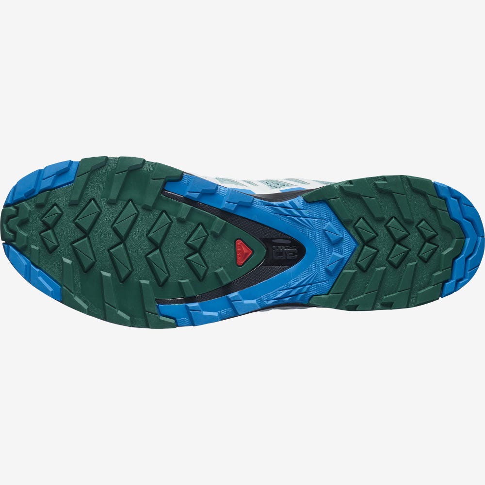 Men's Salomon XA PRO 3D v8 Trail Running Shoes Green/Blue | QSPF-48903