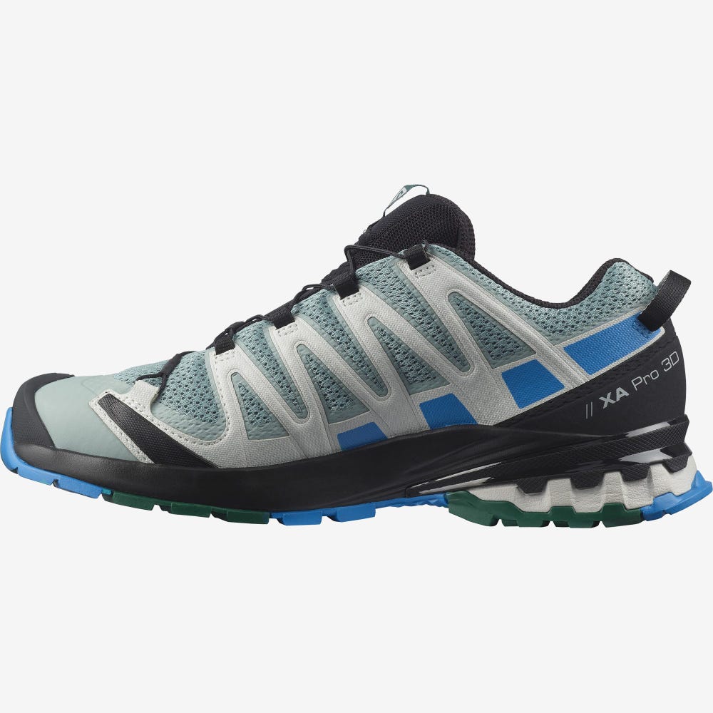 Men's Salomon XA PRO 3D v8 Trail Running Shoes Green/Blue | QSPF-48903