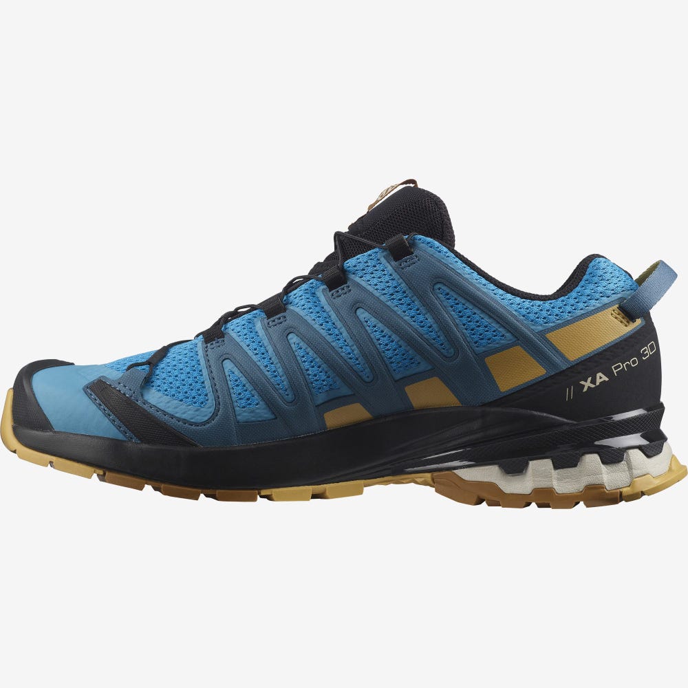 Men's Salomon XA PRO 3D v8 Trail Running Shoes Blue/Brown | WDFY-62841