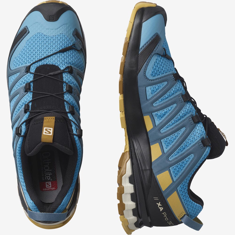 Men's Salomon XA PRO 3D v8 Trail Running Shoes Blue/Brown | WDFY-62841