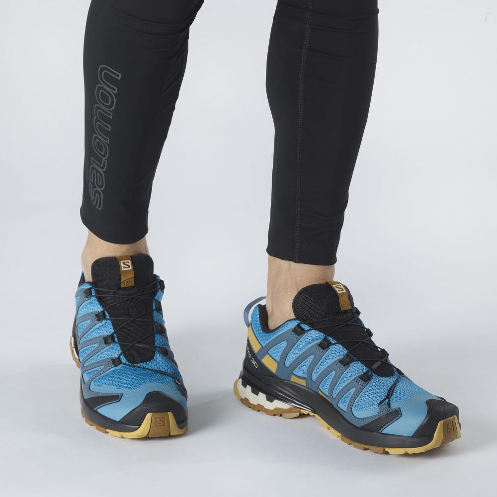 Men's Salomon XA PRO 3D v8 Trail Running Shoes Blue/Brown | WDFY-62841