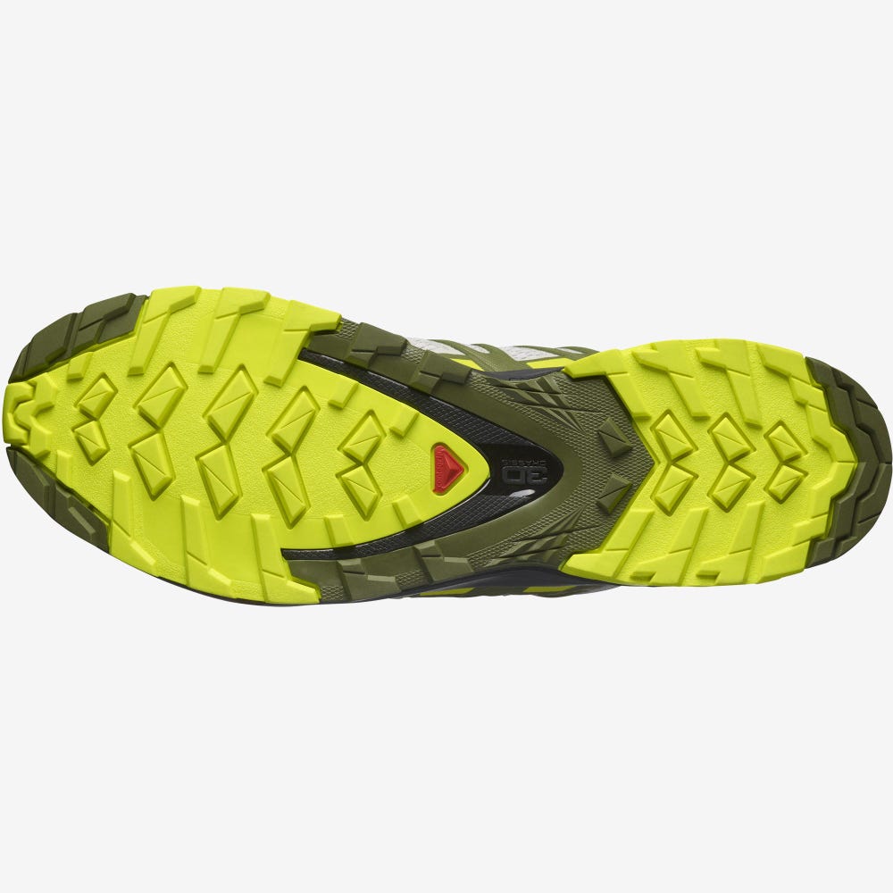 Men's Salomon XA PRO 3D v8 Trail Running Shoes Grey/Green | XCYG-17406