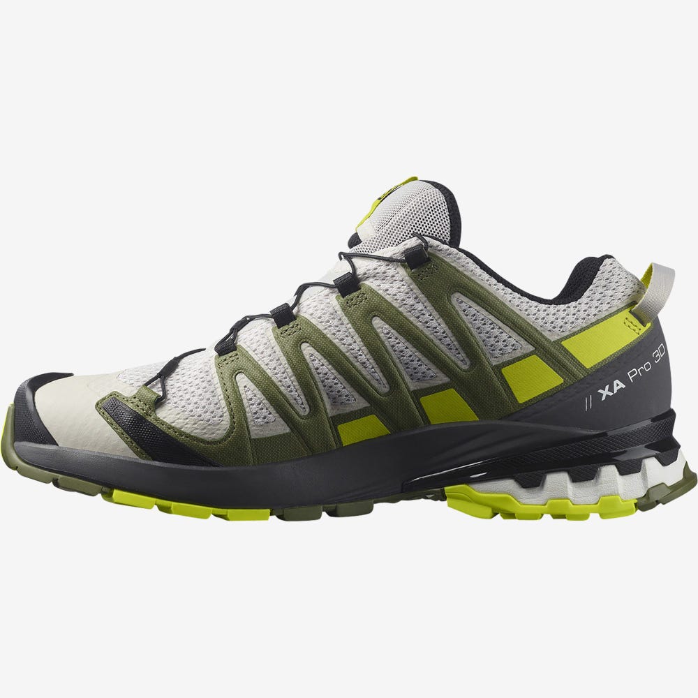 Men's Salomon XA PRO 3D v8 Trail Running Shoes Grey/Green | XCYG-17406
