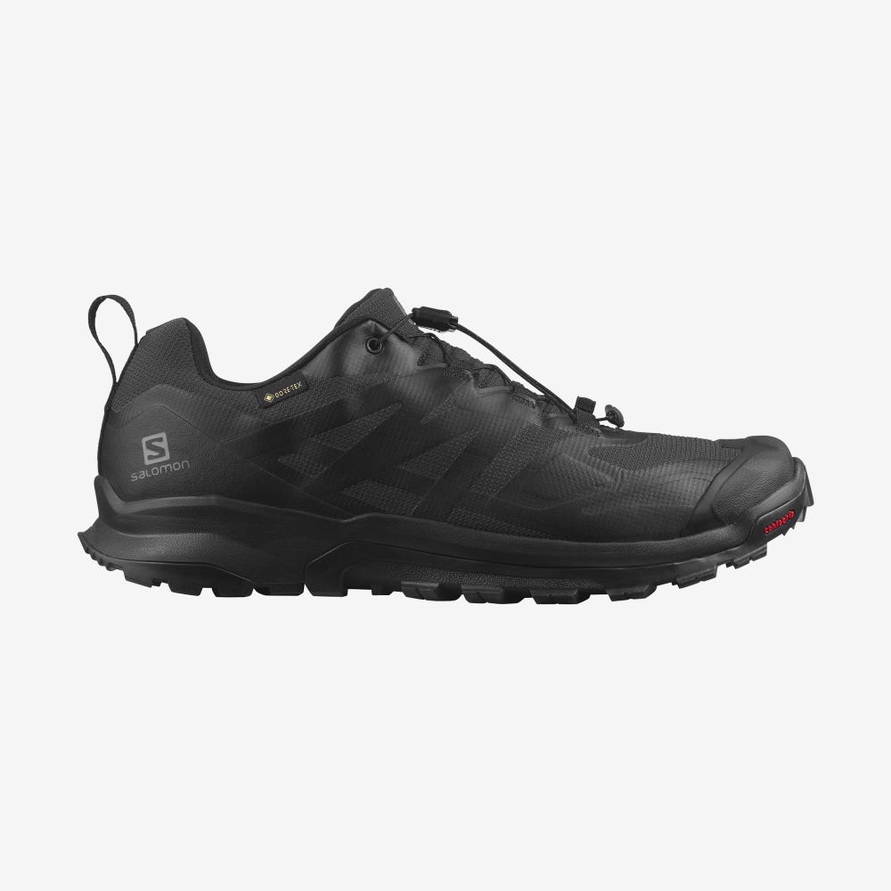 Men\'s Salomon XA ROGG 2 GORE-TEX Trail Running Shoes Black | HIDL-42869