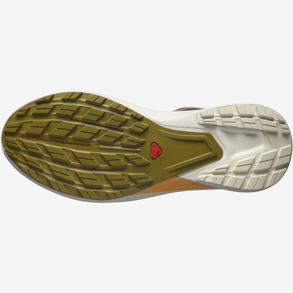 Women's Salomon HYPULSE Trail Running Shoes Purple/Green | SEUR-04127