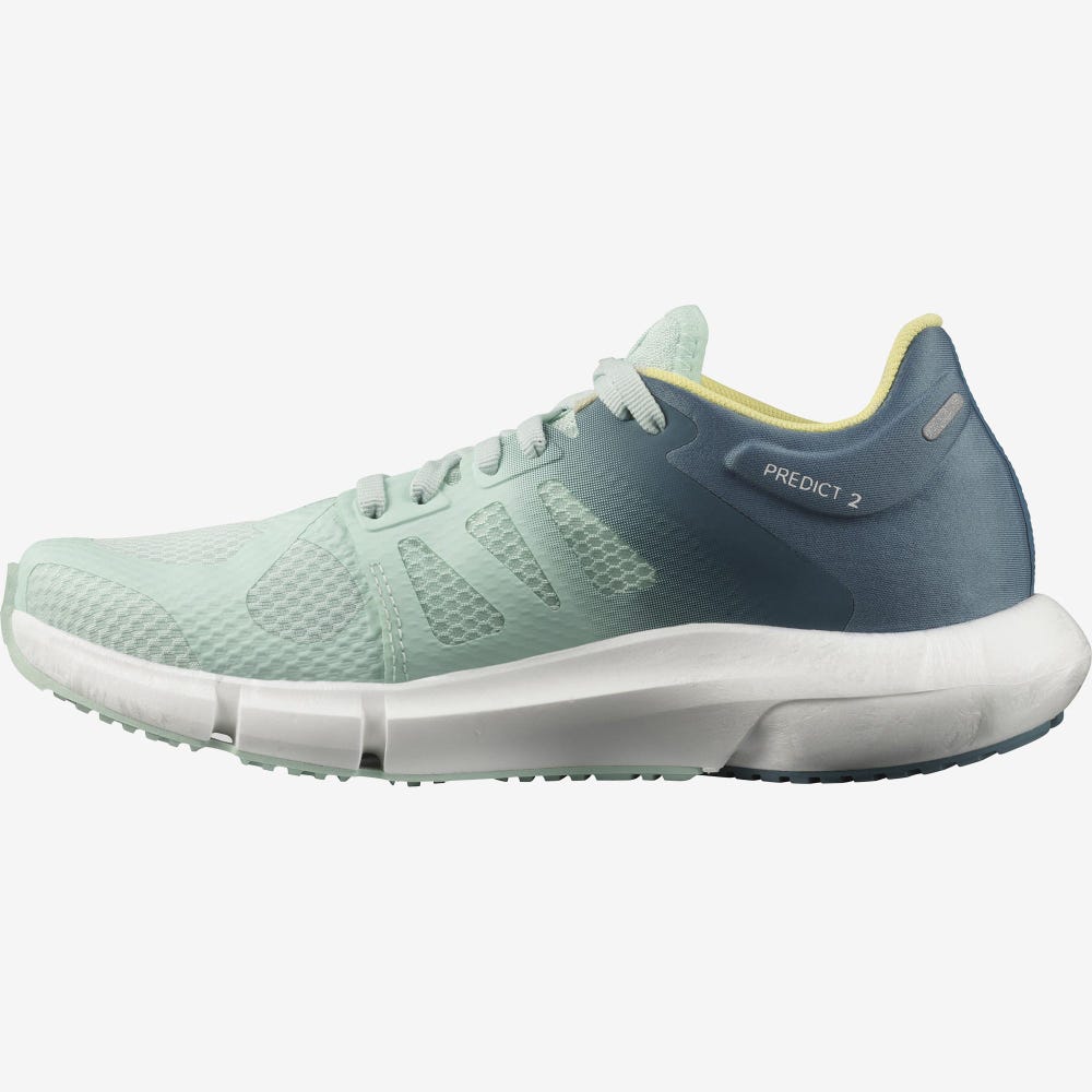 Women's Salomon PREDICT 2 Running Shoes Blue | TNGJ-39412