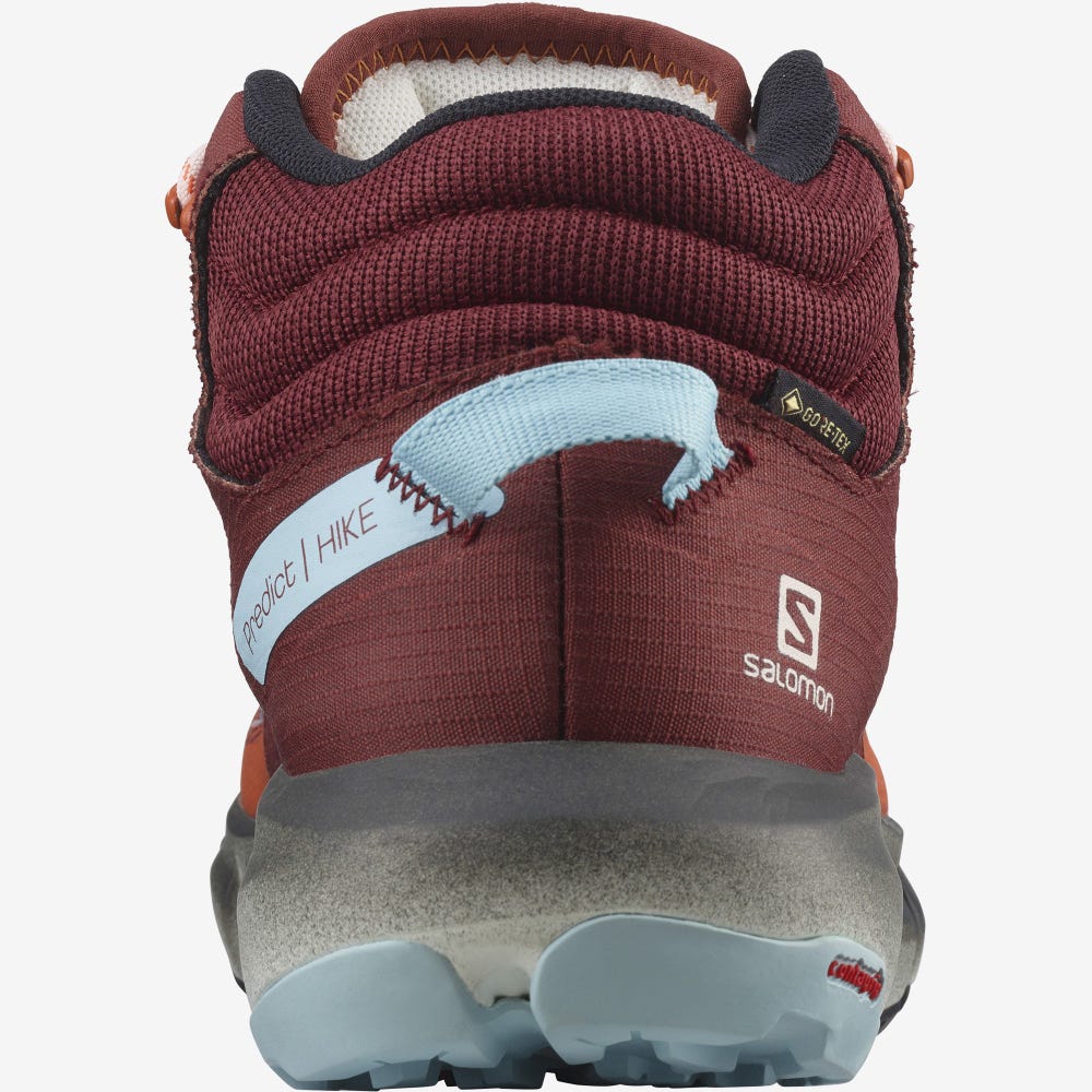 Women's Salomon PREDICT HIKE MID GORE-TEX Hiking Boots Orange/Brown/Blue | NVRX-69803