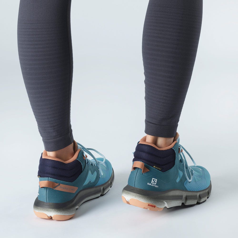 Women's Salomon PREDICT HIKE MID GORE-TEX Hiking Boots Blue/Beige | TNGP-94780