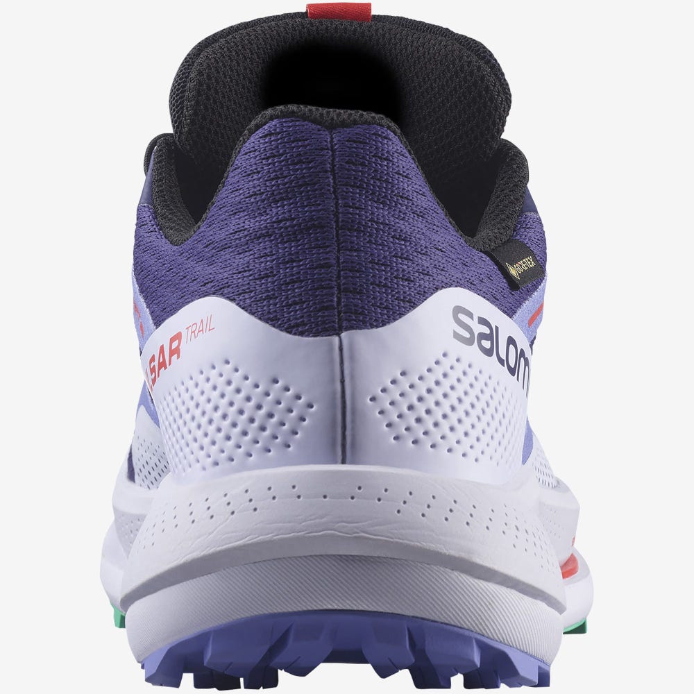 Women's Salomon PULSAR TRAIL GORE-TEX Trail Running Shoes Purple/Mint | ROVS-61542