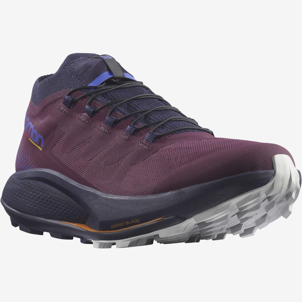 Women's Salomon PULSAR TRAIL PRO Trail Running Shoes Purple/Blue | HREO-95104