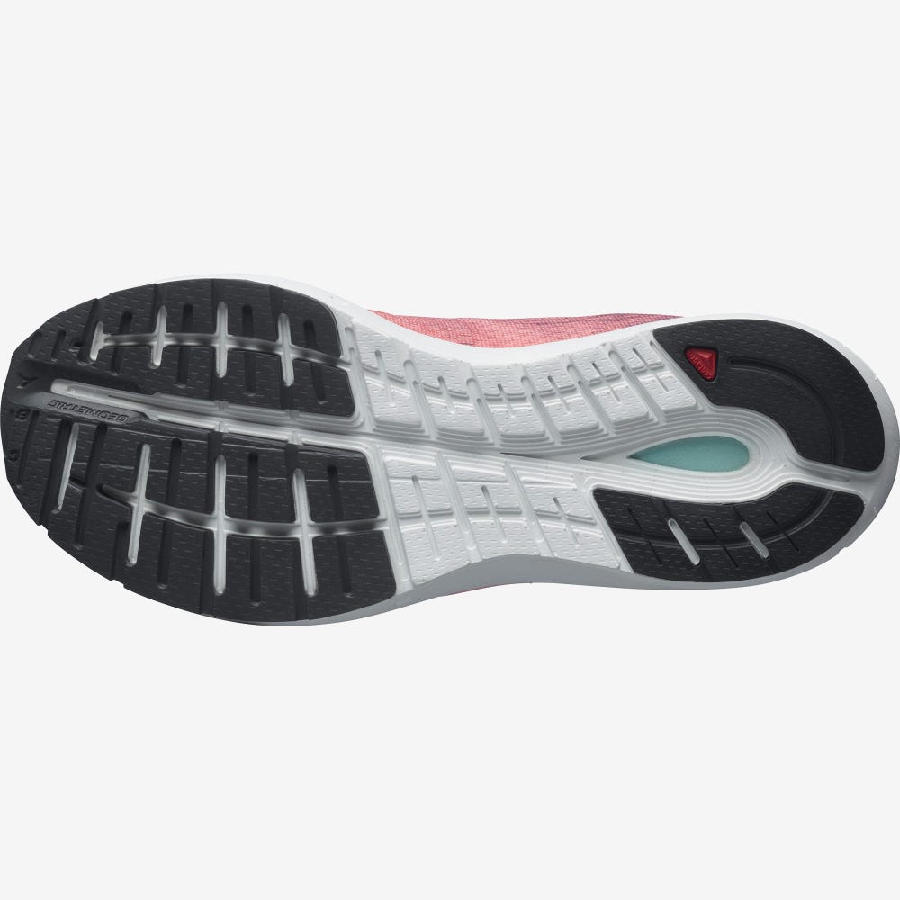 Women's Salomon SONIC 4 Accelerate Running Shoes White/Dark Red | PBJN-38960