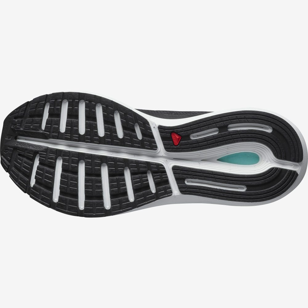 Women's Salomon SONIC 4 Balance Running Shoes Black/White/Black | WQAX-73852