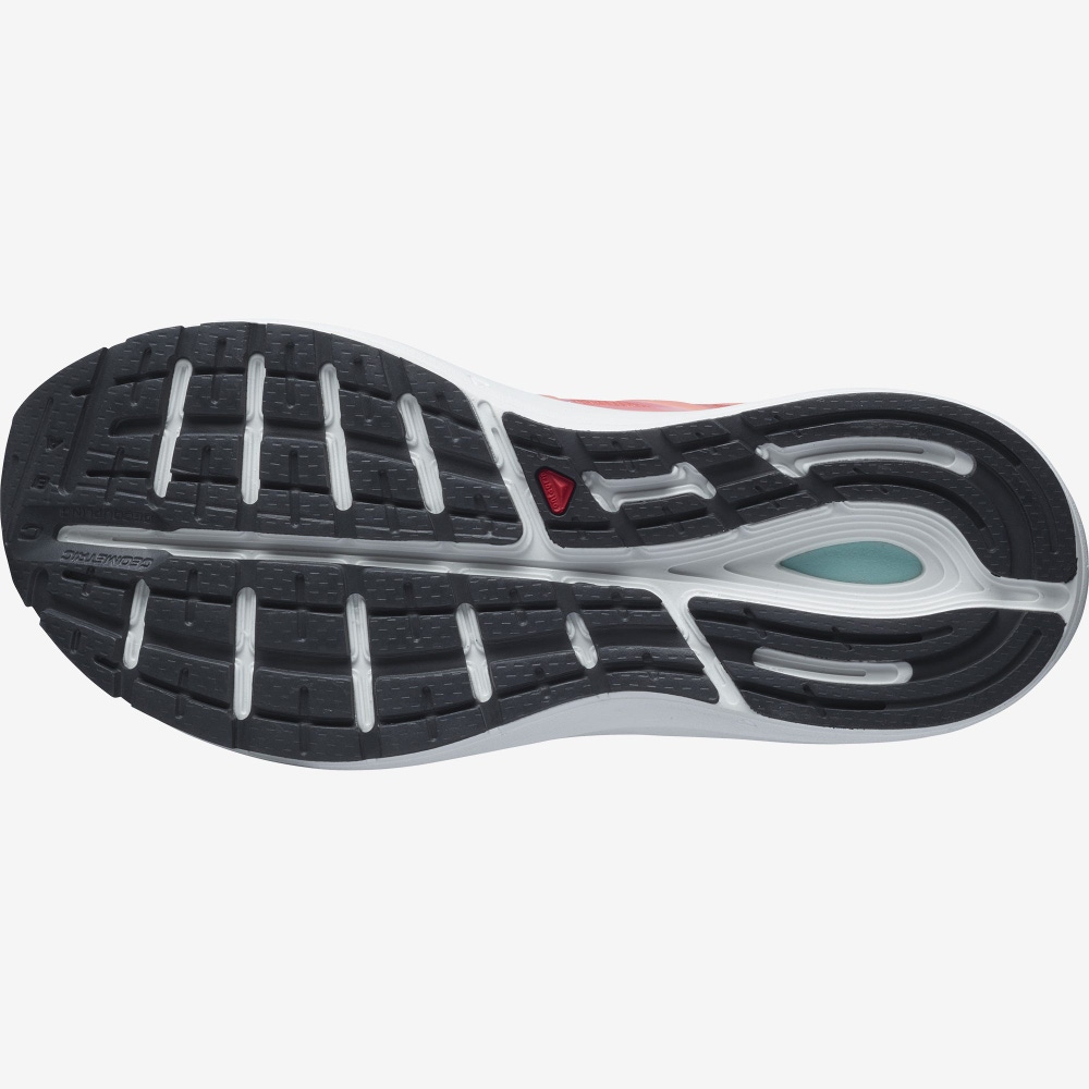 Women's Salomon SONIC 4 Confidence Running Shoes White | JDQM-83264
