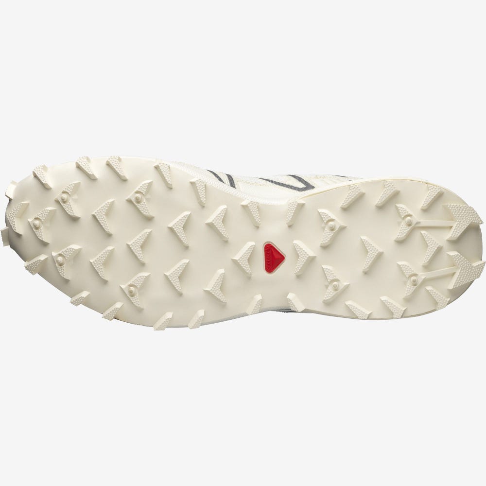 Women's Salomon SPEEDCROSS 3 MINDFUL Sneakers Beige | PYAO-30697