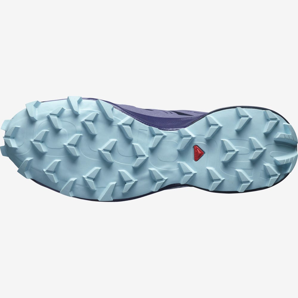 Women's Salomon SPEEDCROSS 5 GORE-TEX Trail Running Shoes Navy/Blue | RUBS-83576