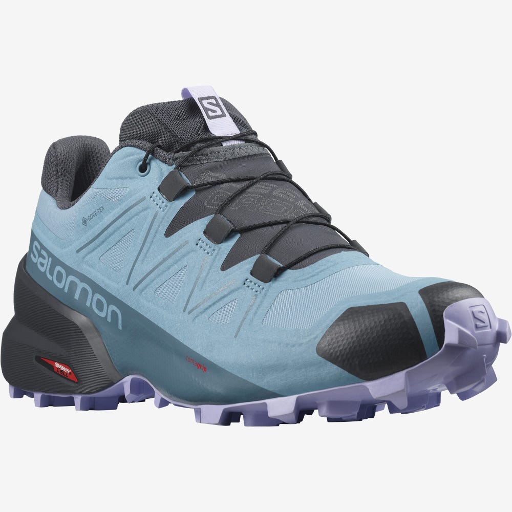 Women's Salomon SPEEDCROSS 5 GORE-TEX Trail Running Shoes Blue/Lavender | RZLP-79125