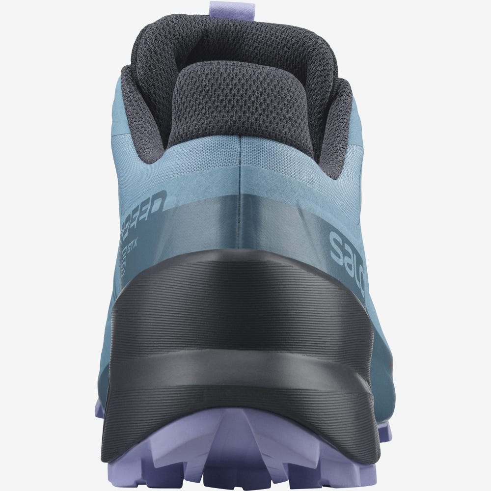 Women's Salomon SPEEDCROSS 5 GORE-TEX Trail Running Shoes Blue/Lavender | RZLP-79125