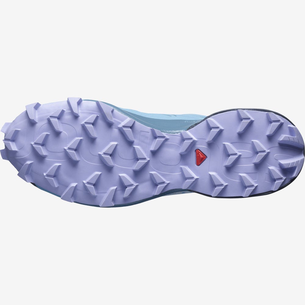 Women's Salomon SPEEDCROSS 5 GORE-TEX Trail Running Shoes Blue/Lavender | RZLP-79125