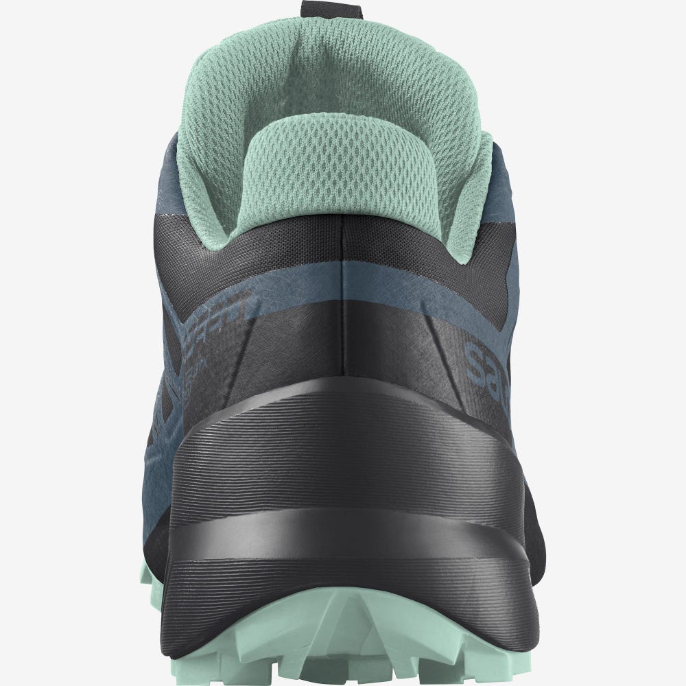 Women's Salomon SPEEDCROSS 5 GORE-TEX Trail Running Shoes Black/Blue | SBCE-01795