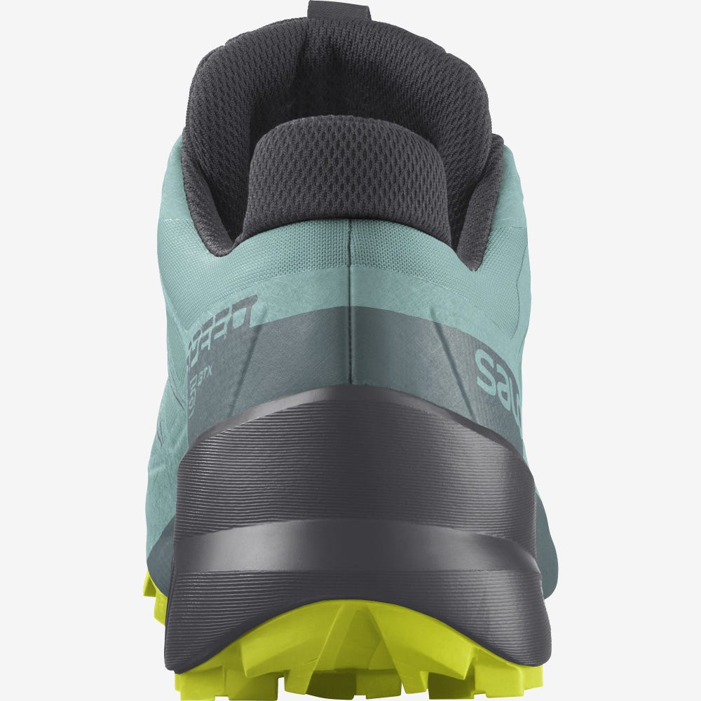 Women's Salomon SPEEDCROSS 5 GORE-TEX Trail Running Shoes Turquoise | TUGN-18947