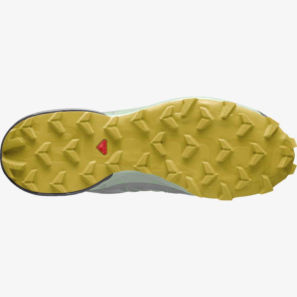 Women's Salomon SPEEDCROSS 5 GORE-TEX Trail Running Shoes Green | VLWG-67043