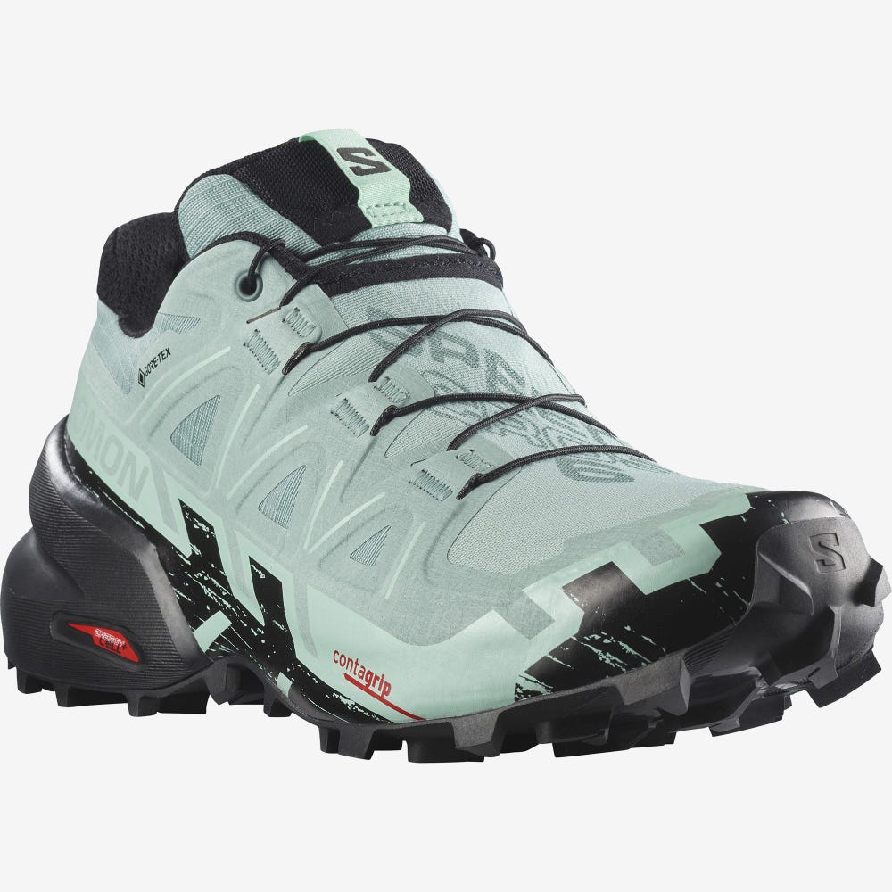 Women's Salomon SPEEDCROSS 6 GORE-TEX Trail Running Shoes Turquoise/Black | ILEF-52340