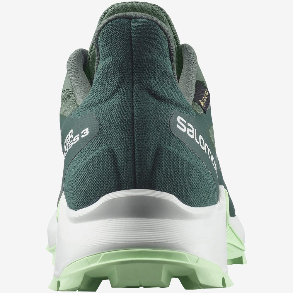 Women's Salomon SUPERCROSS 3 GORE-TEX Trail Running Shoes Green/White/Green | ETMK-63718