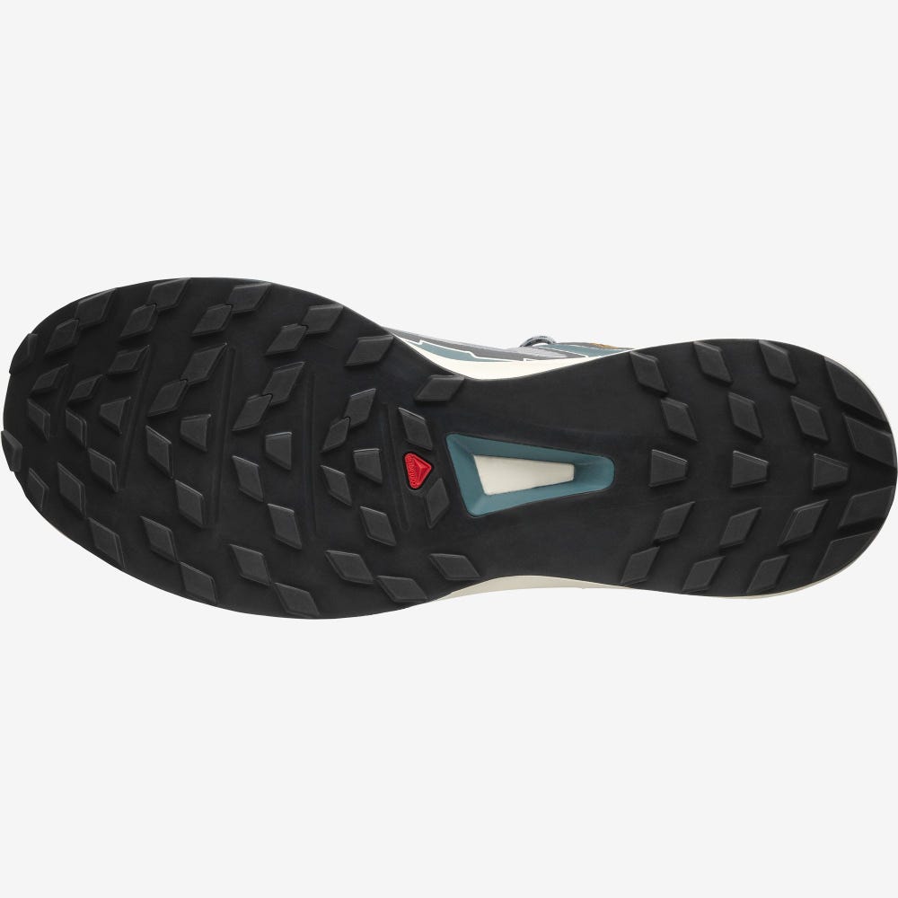 Women's Salomon ULTRA RAID Sneakers Blue | QZDX-67124