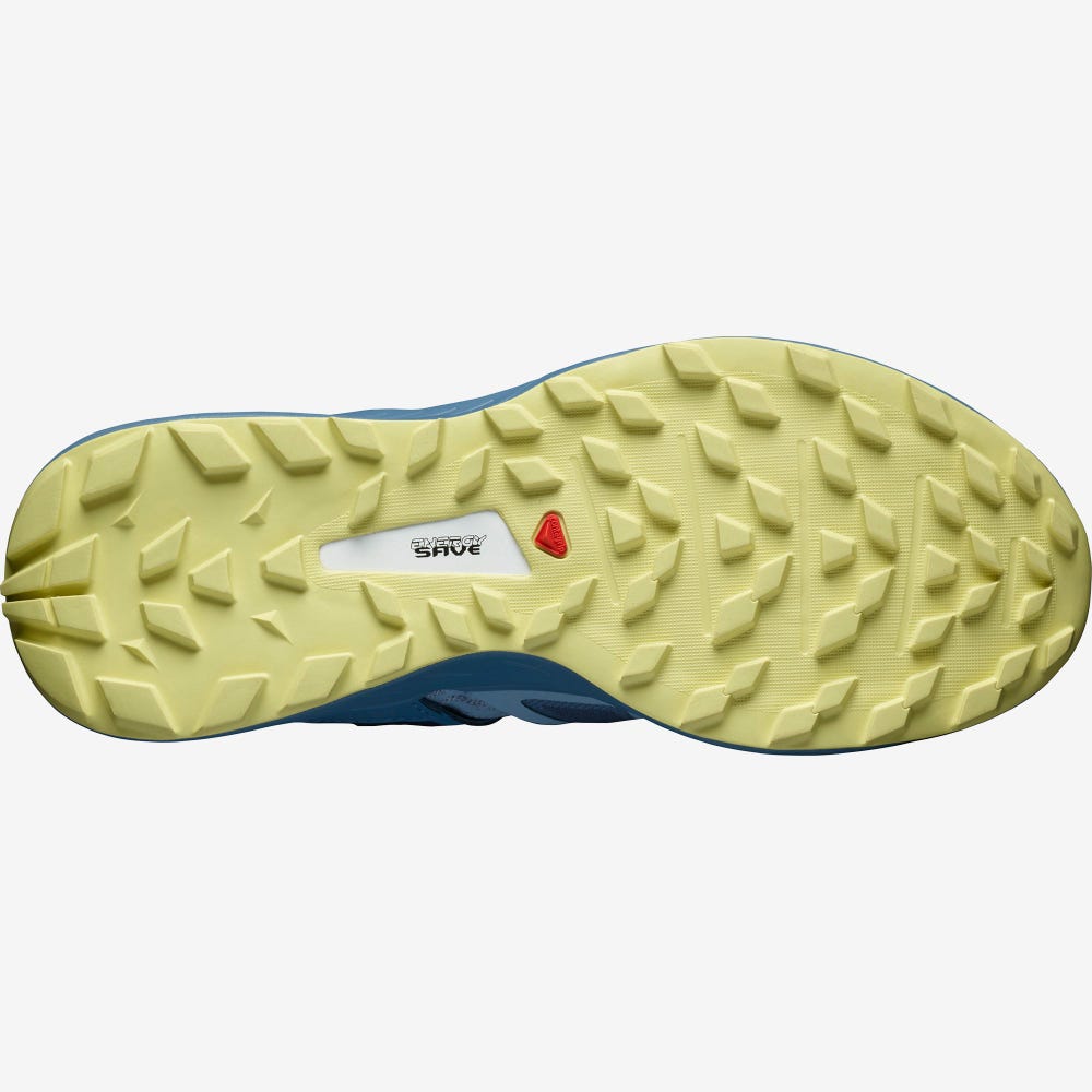 Women's Salomon ULTRA W /PRO Trail Running Shoes Blue | ZRPB-69478