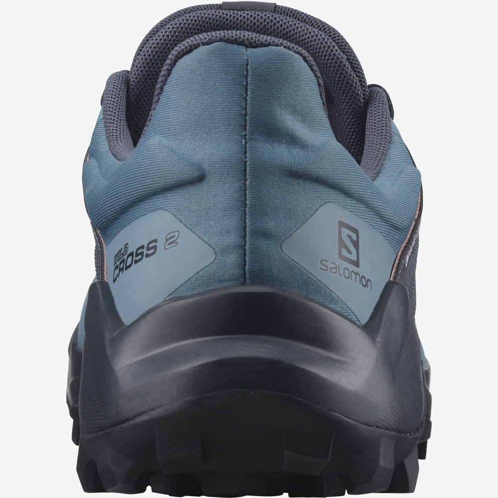 Women's Salomon WILDCROSS 2 GORE-TEX Trail Running Shoes Blue | BYSF-43682