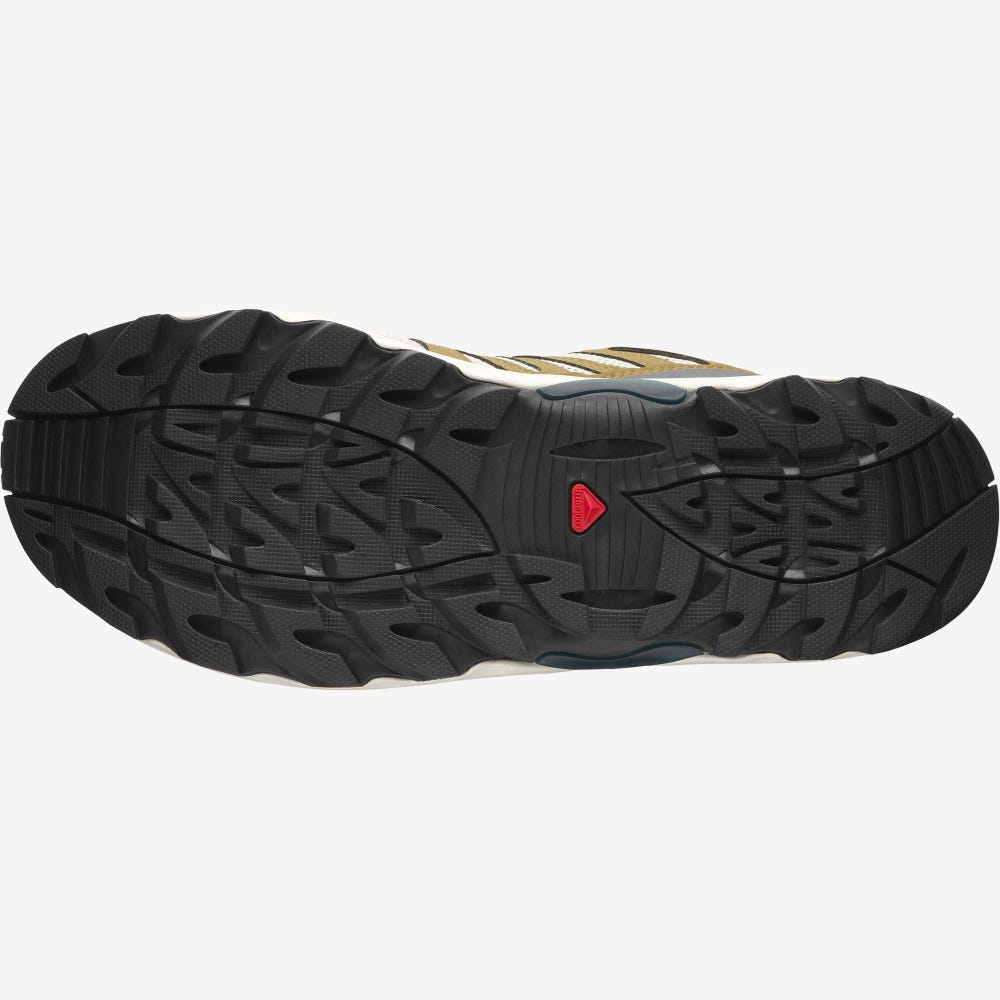Women's Salomon XA PRO 1 Sneakers Grey/Brown | SCNA-43816
