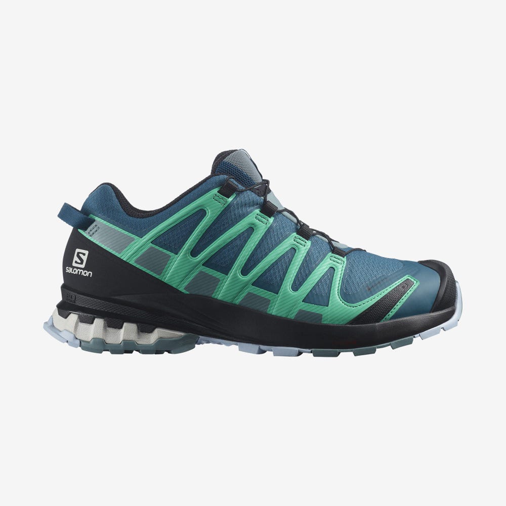 Women\'s Salomon XA PRO 3D v8 GORE-TEX Trail Running Shoes Blue/Mint | WPHS-98014