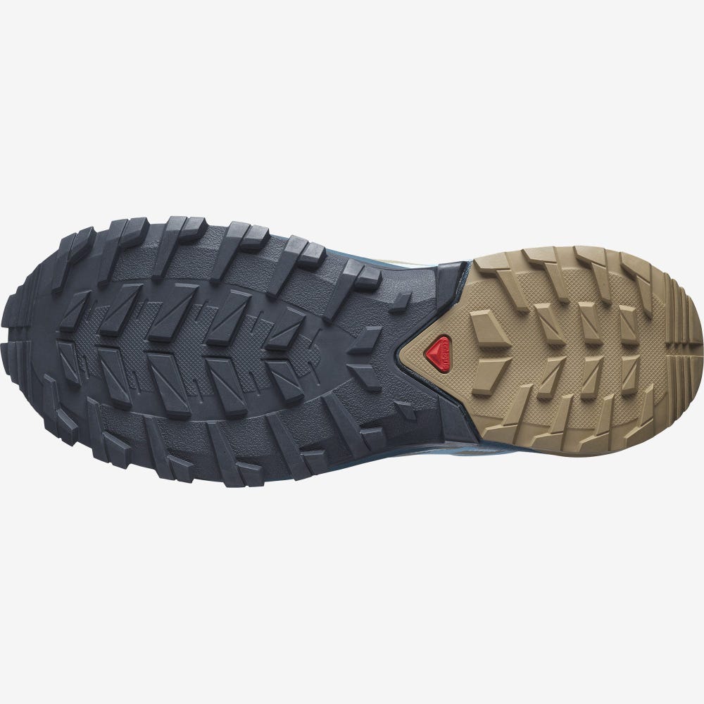 Women's Salomon XA ROGG 2 GORE-TEX Hiking Shoes Blue | LAQV-29741
