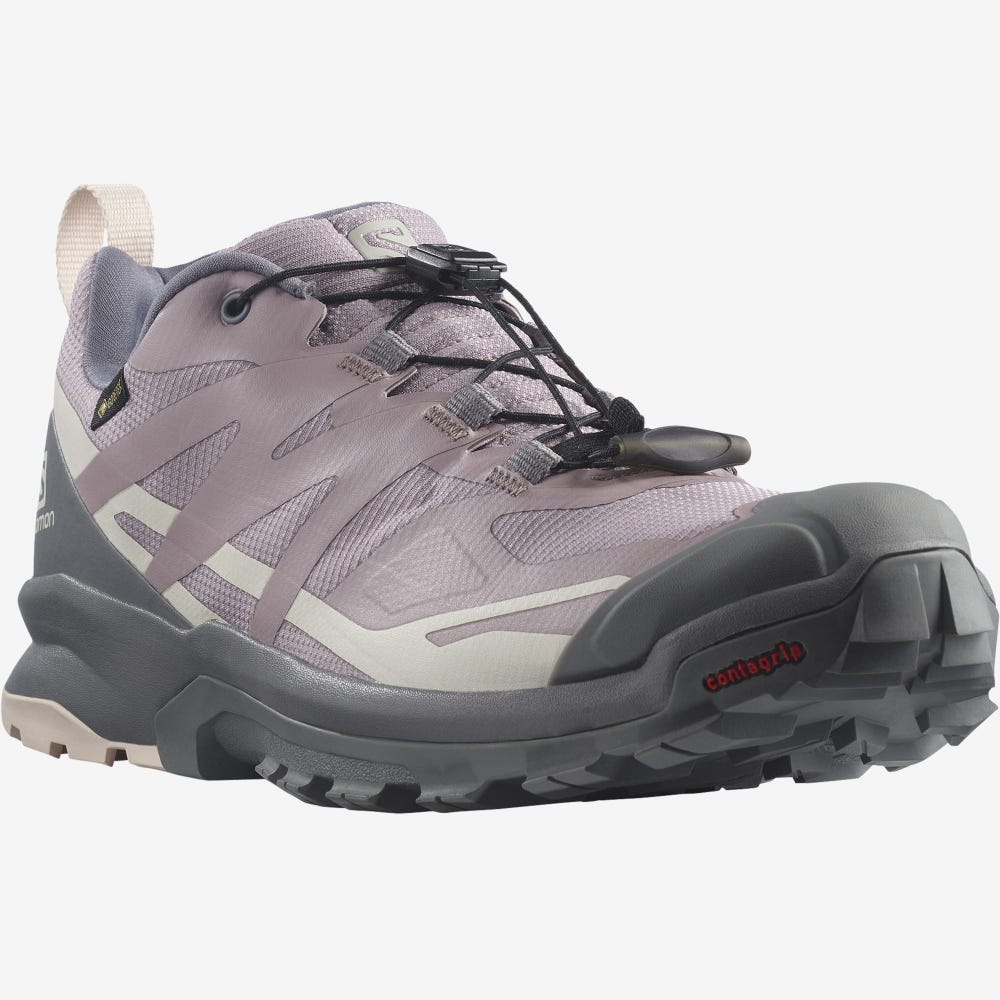 Women's Salomon XA ROGG 2 GORE-TEX Hiking Shoes Grey | PXWV-12348