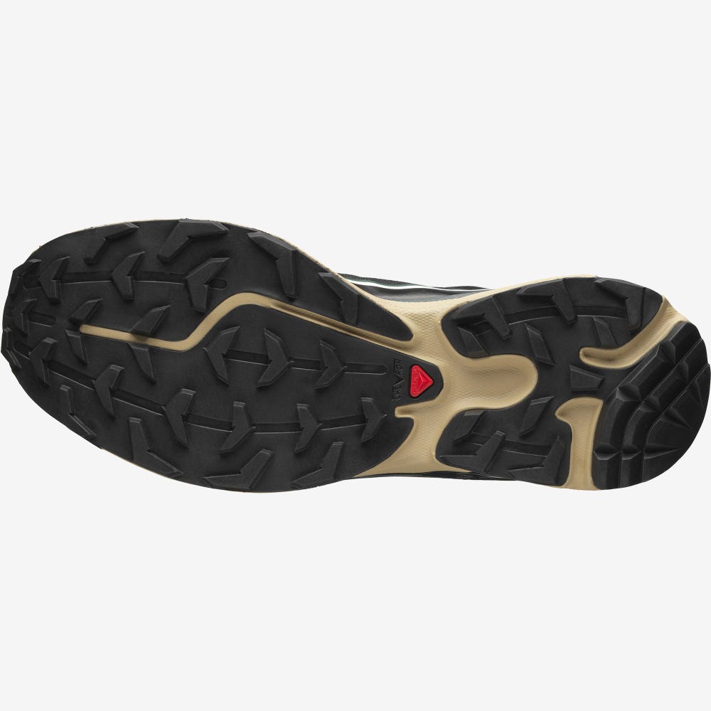 Women's Salomon XT-6 FT Sneakers Deep Green/Black | XTGN-86791