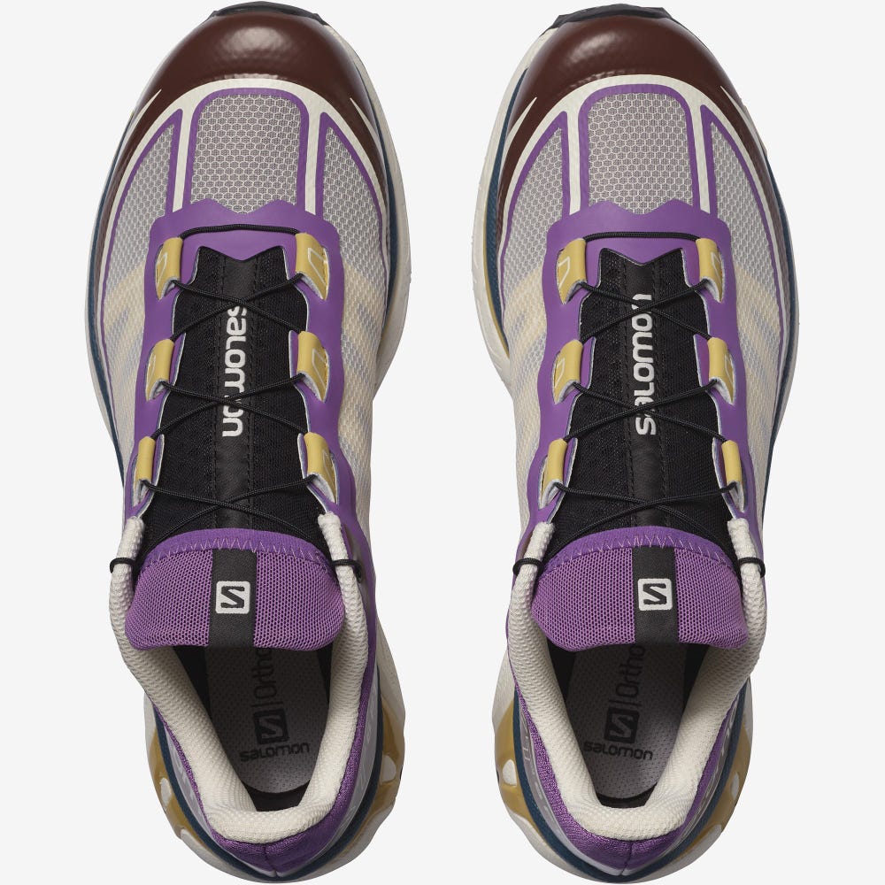 Women's Salomon XT-6 FT Sneakers Royal Purple/Chocolate | DLVF-96305