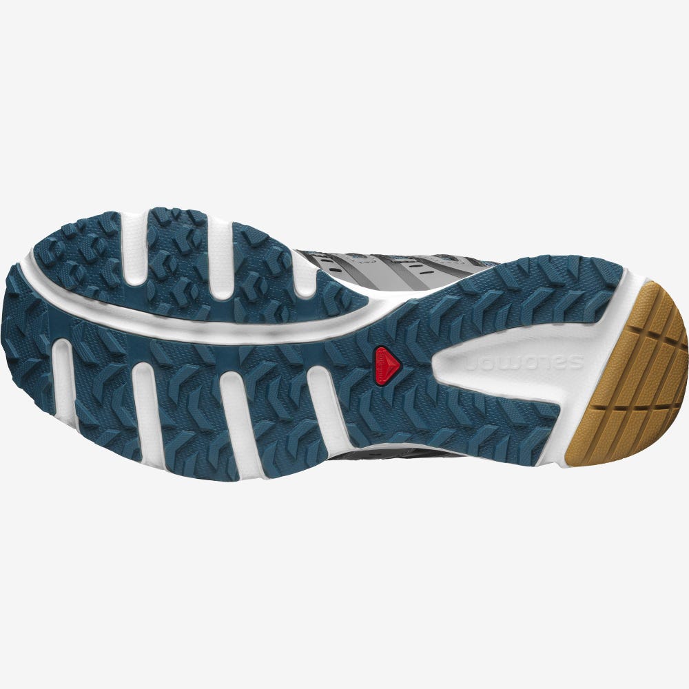 Women's Salomon X-MISSION 3 Sneakers Grey/Blue | WCKN-51738