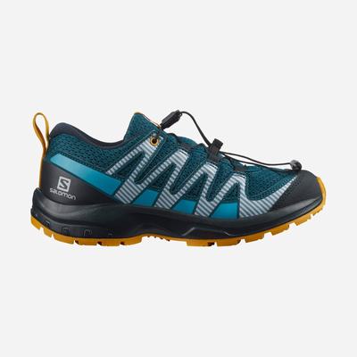 Kids' Salomon XA PRO V8 Hiking Boots Blue | ABMU-08359