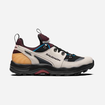 Women's Salomon RAID WIND ADVANCED Sneakers Beige/Blue | NUOW-65807