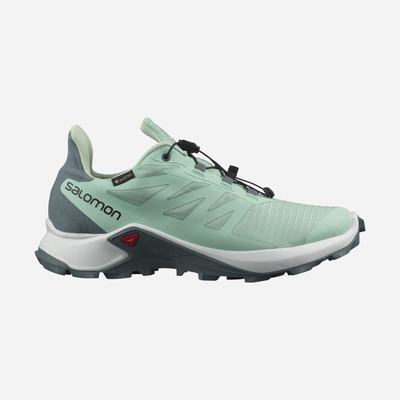 Women's Salomon SUPERCROSS 3 GORE-TEX Trail Running Shoes Green/White | ZKWO-02891