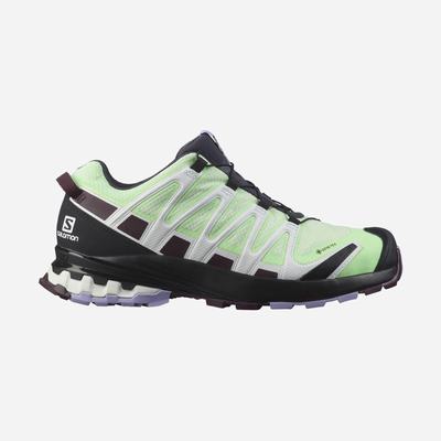 Women's Salomon XA PRO 3D v8 GORE-TEX Hiking Shoes Green/Lavender | RJOK-81406
