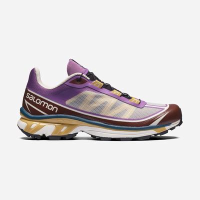 Women's Salomon XT-6 FT Sneakers Royal Purple/Chocolate | DLVF-96305
